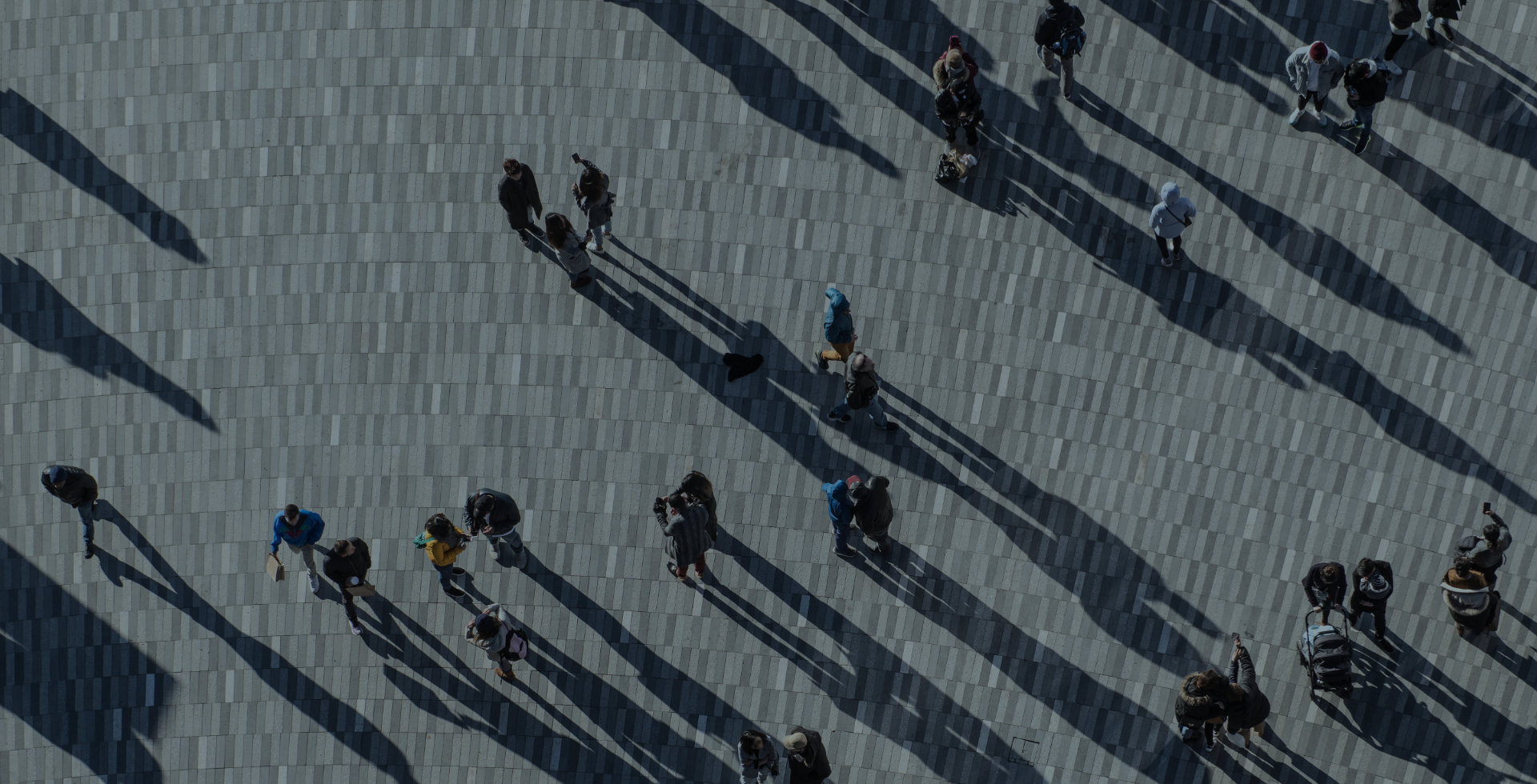 header sinergia legale